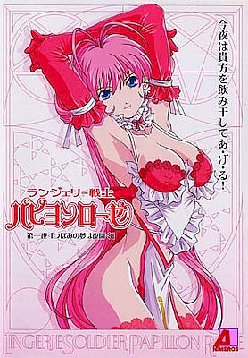 lingerie-senshi poster